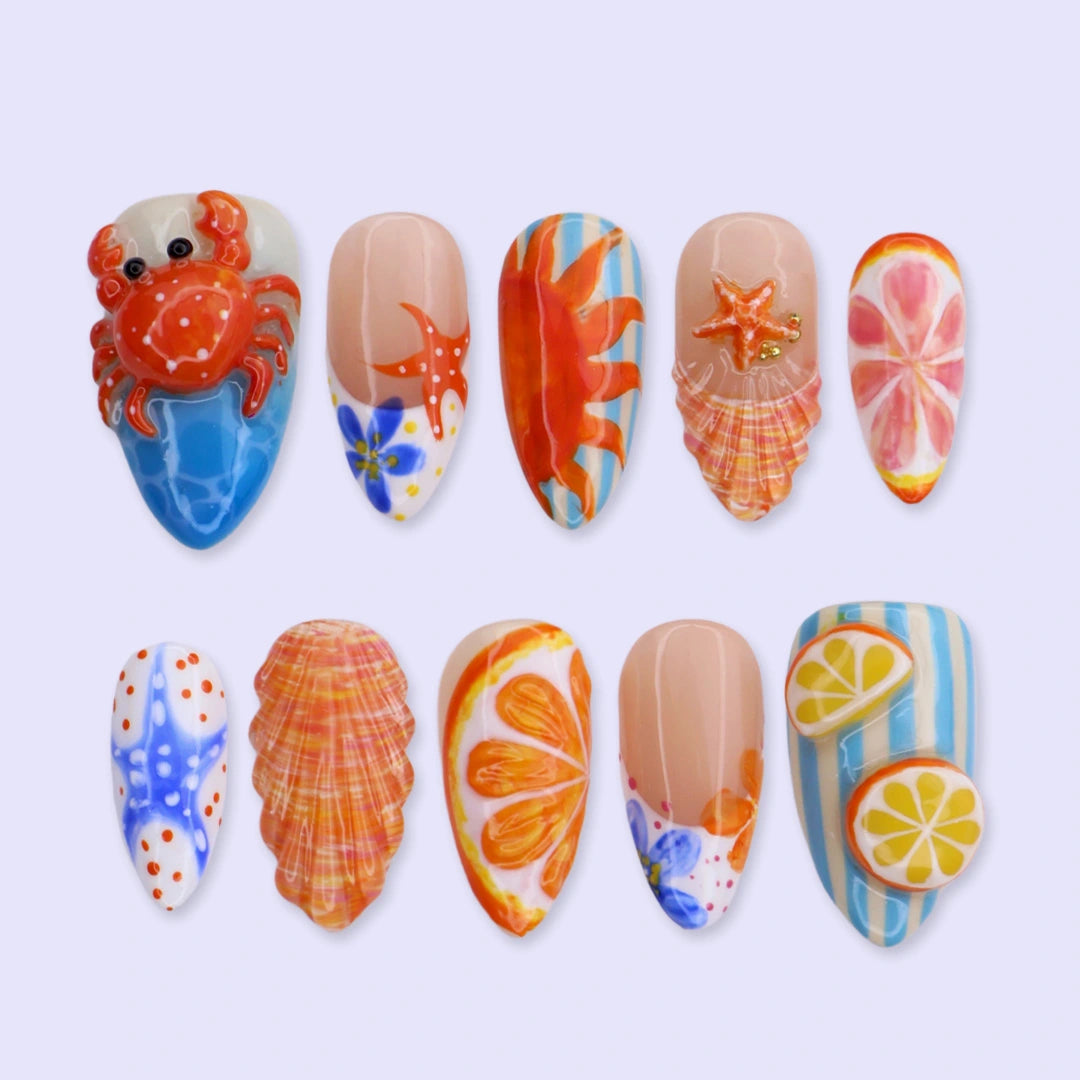 Crab & Seashell