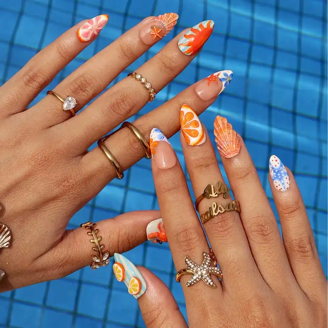 Crab & Seashell