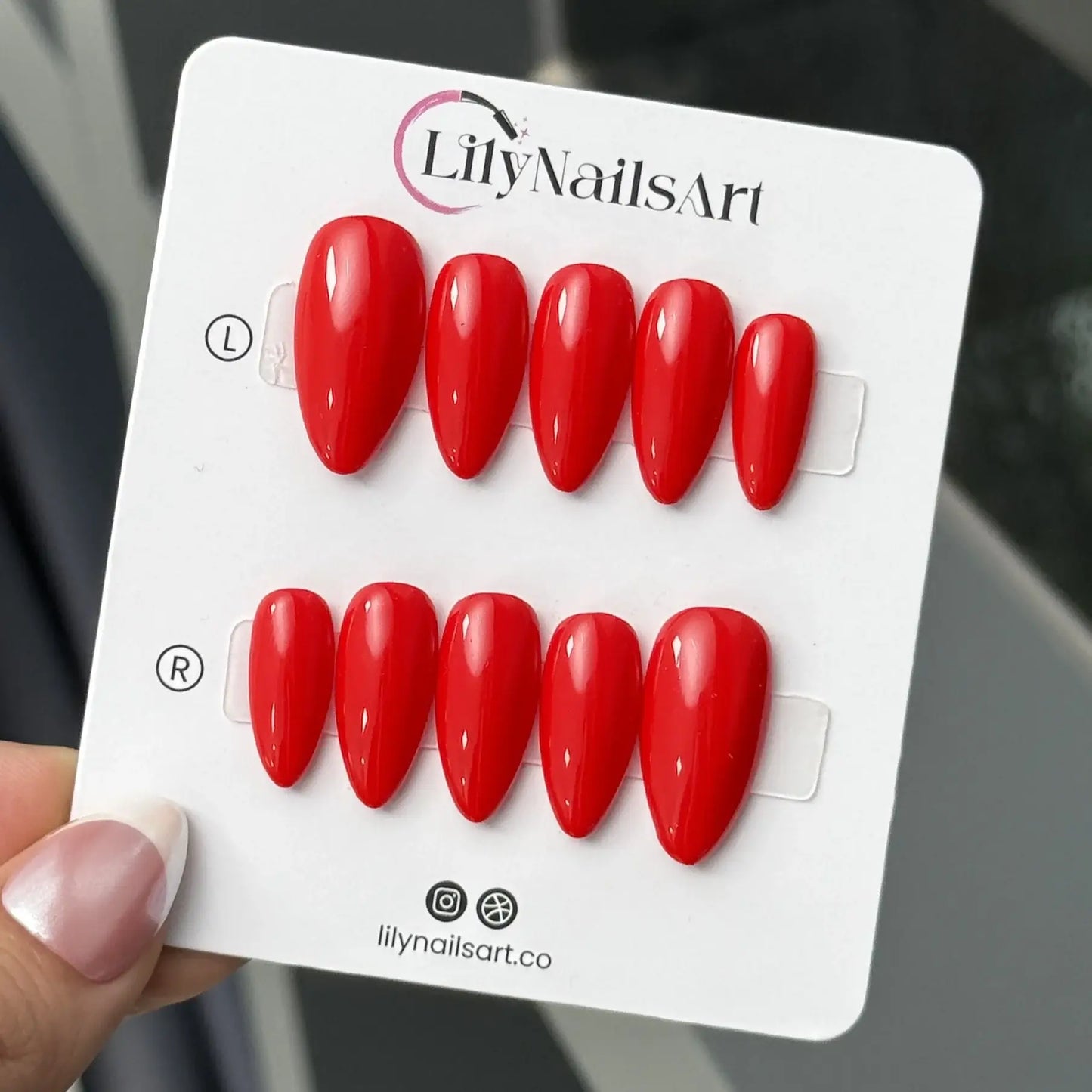 Classic Solid Red - Gift